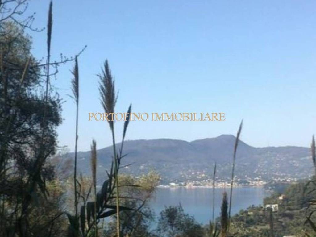 casa indipendente in vendita a Zoagli