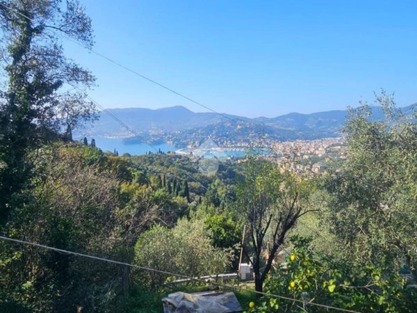 terreno agricolo in vendita a Zoagli