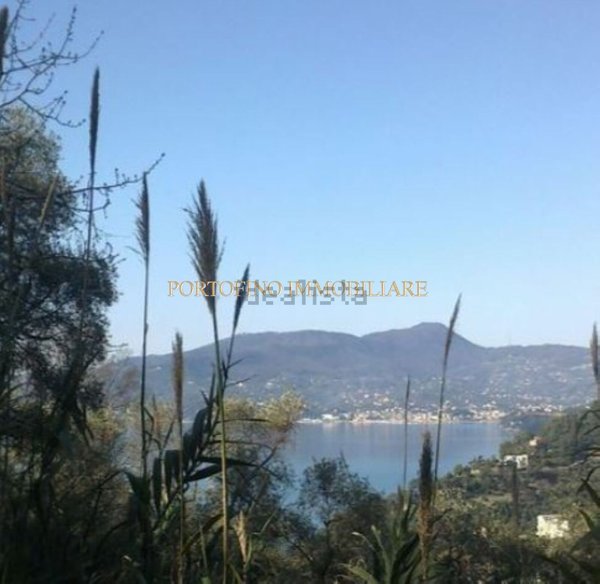 casa indipendente in vendita a Zoagli