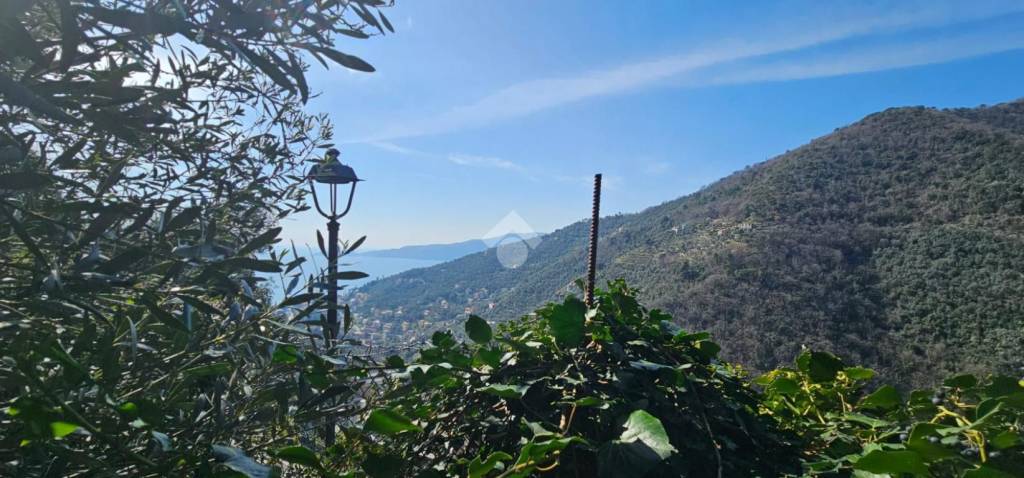 terreno agricolo in vendita a Zoagli in zona Semorile