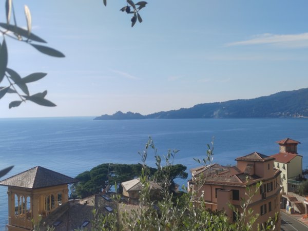 appartamento in vendita a Zoagli