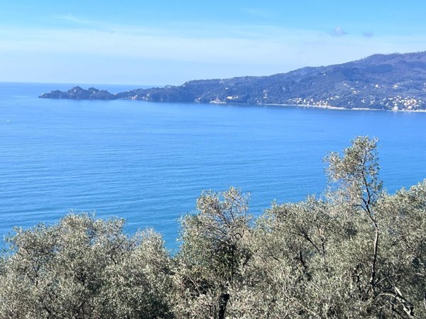 casa indipendente in vendita a Zoagli