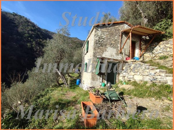 casa indipendente in vendita a Zoagli