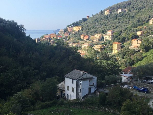 casa indipendente in vendita a Zoagli