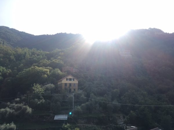 casa indipendente in vendita a Zoagli