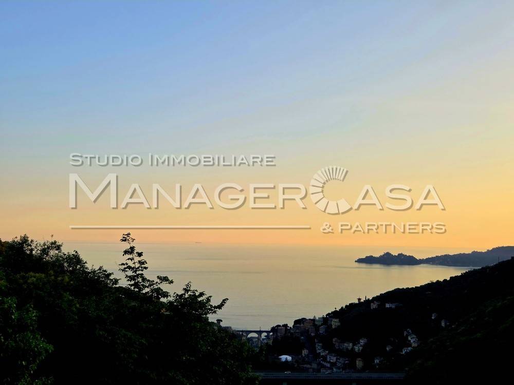 immagine annuncio 0 di 15