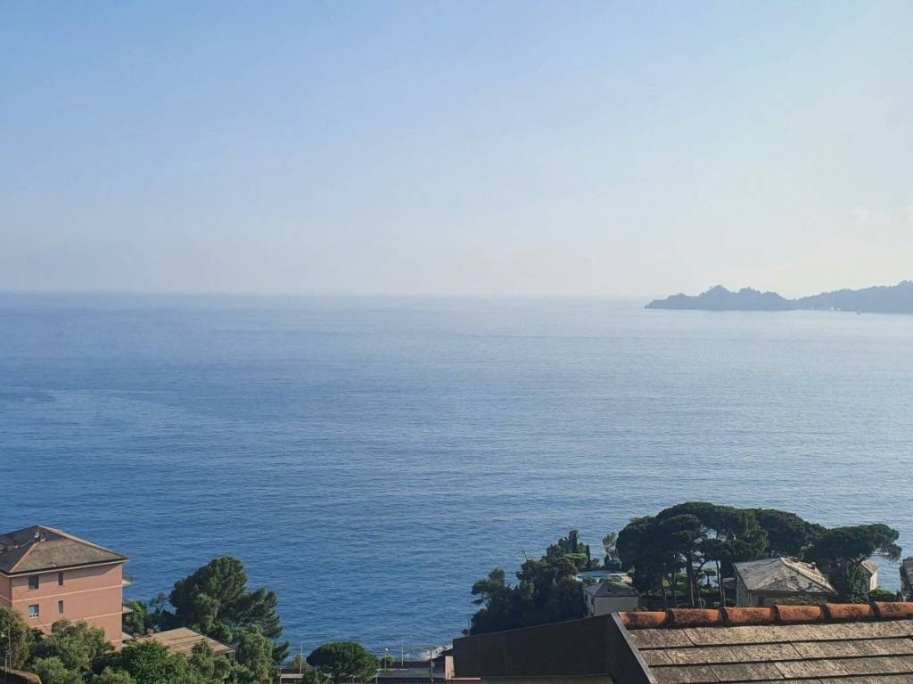 appartamento in vendita a Zoagli