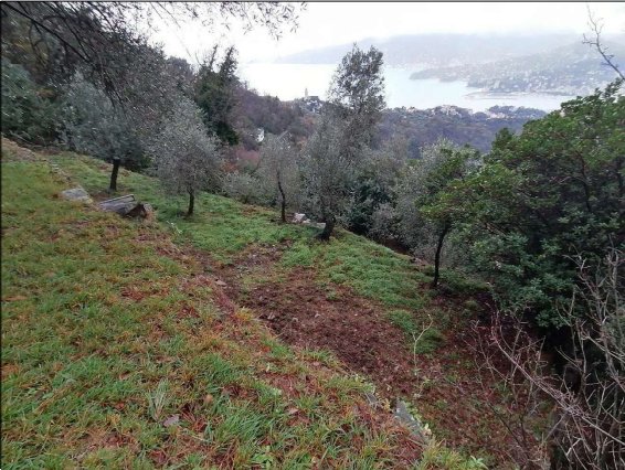 casa indipendente in vendita a Zoagli