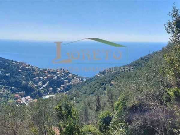 casa indipendente in vendita a Zoagli