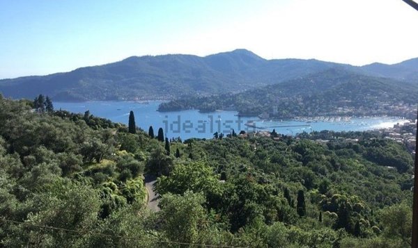 casa indipendente in vendita a Zoagli