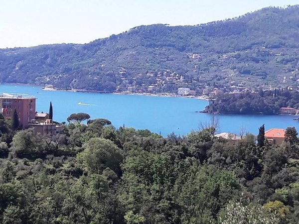 appartamento in vendita a Zoagli
