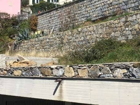 casa indipendente in vendita a Zoagli