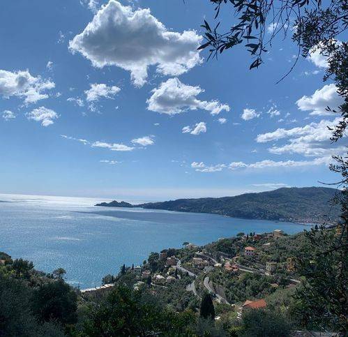 casa indipendente in vendita a Zoagli