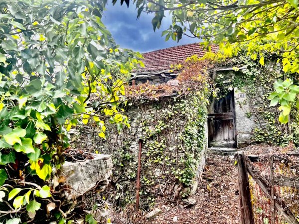 casa indipendente in vendita a Zoagli