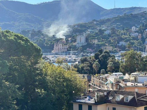 appartamento in vendita a Zoagli