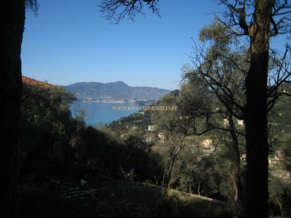 casa indipendente in vendita a Zoagli