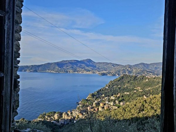 casa indipendente in vendita a Zoagli in zona San Pietro