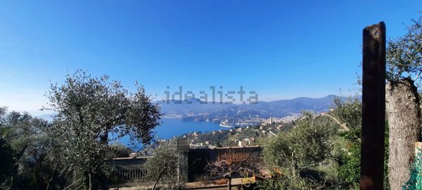 appartamento in vendita a Zoagli