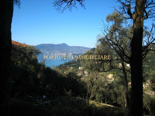 casa indipendente in vendita a Zoagli