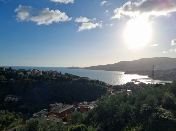 casa indipendente in vendita a Zoagli in zona Sant'Ambrogio