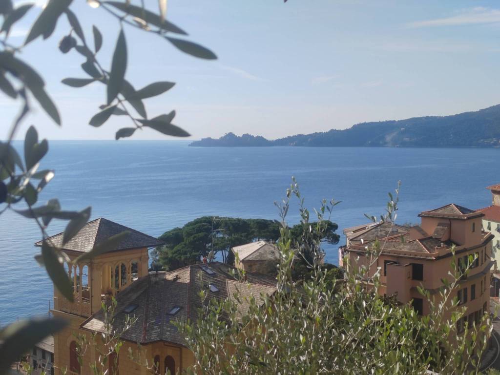 appartamento in vendita a Zoagli