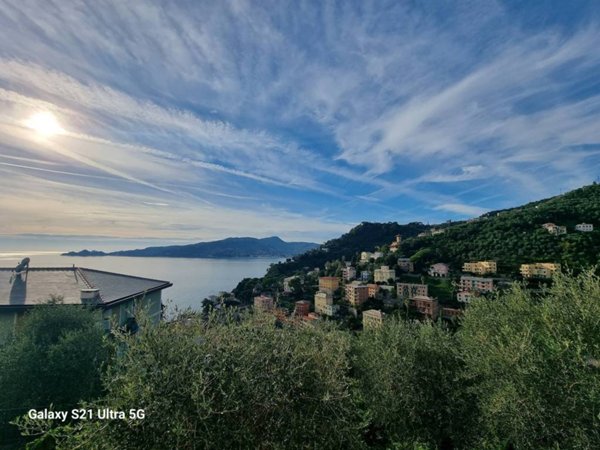 appartamento in vendita a Zoagli