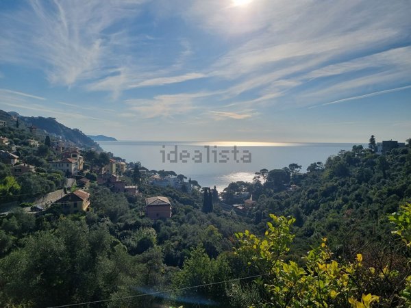 casa indipendente in vendita a Zoagli