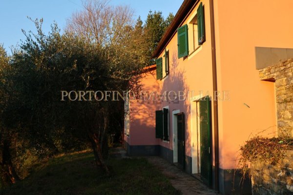 casa indipendente in vendita a Zoagli