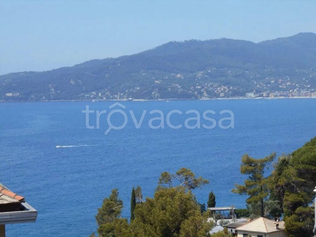 appartamento in vendita a Zoagli