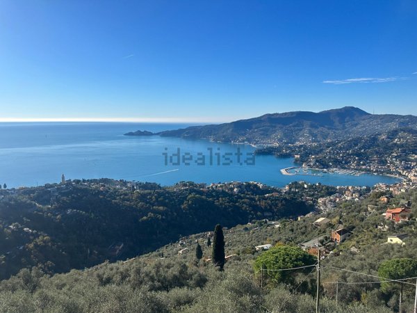 appartamento in vendita a Zoagli