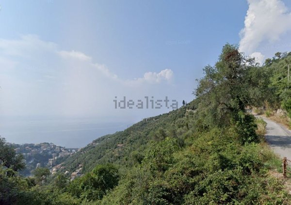 casa indipendente in vendita a Zoagli