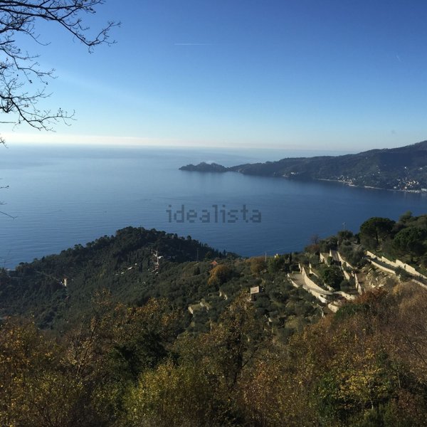 pentavano in vendita a Zoagli