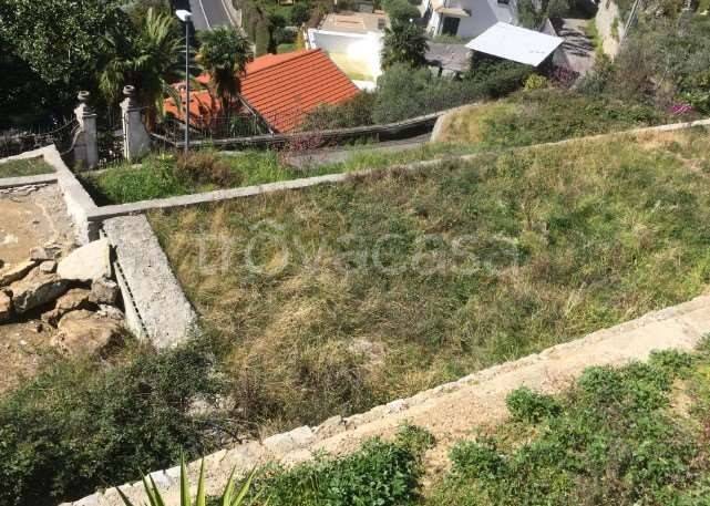 appartamento in vendita a Zoagli