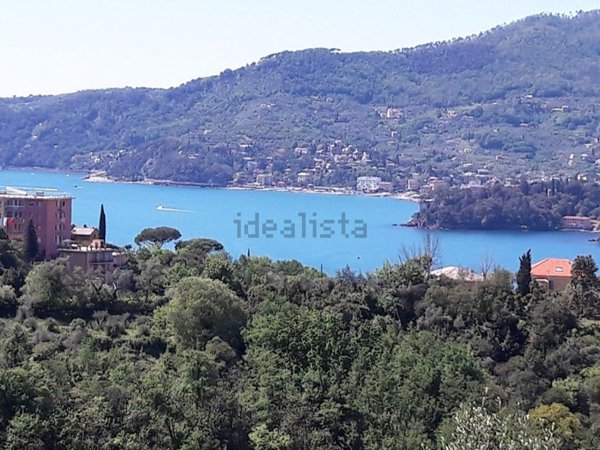 appartamento in vendita a Zoagli in zona Sant'Ambrogio