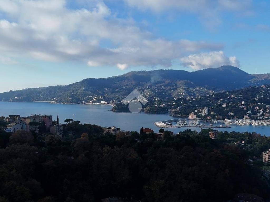 casa indipendente in vendita a Zoagli in zona Sant'Ambrogio