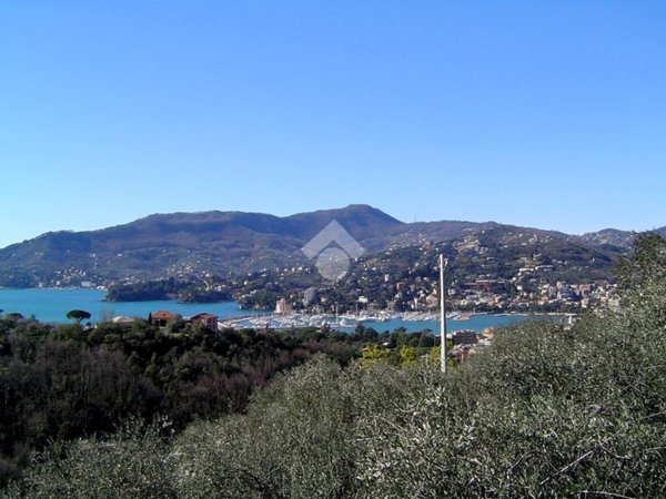 casa indipendente in vendita a Zoagli in zona Sant'Ambrogio