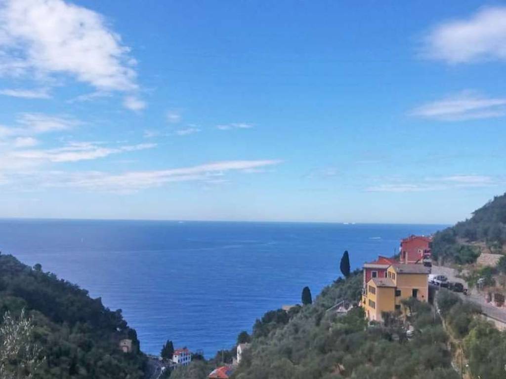 casa indipendente in vendita a Zoagli