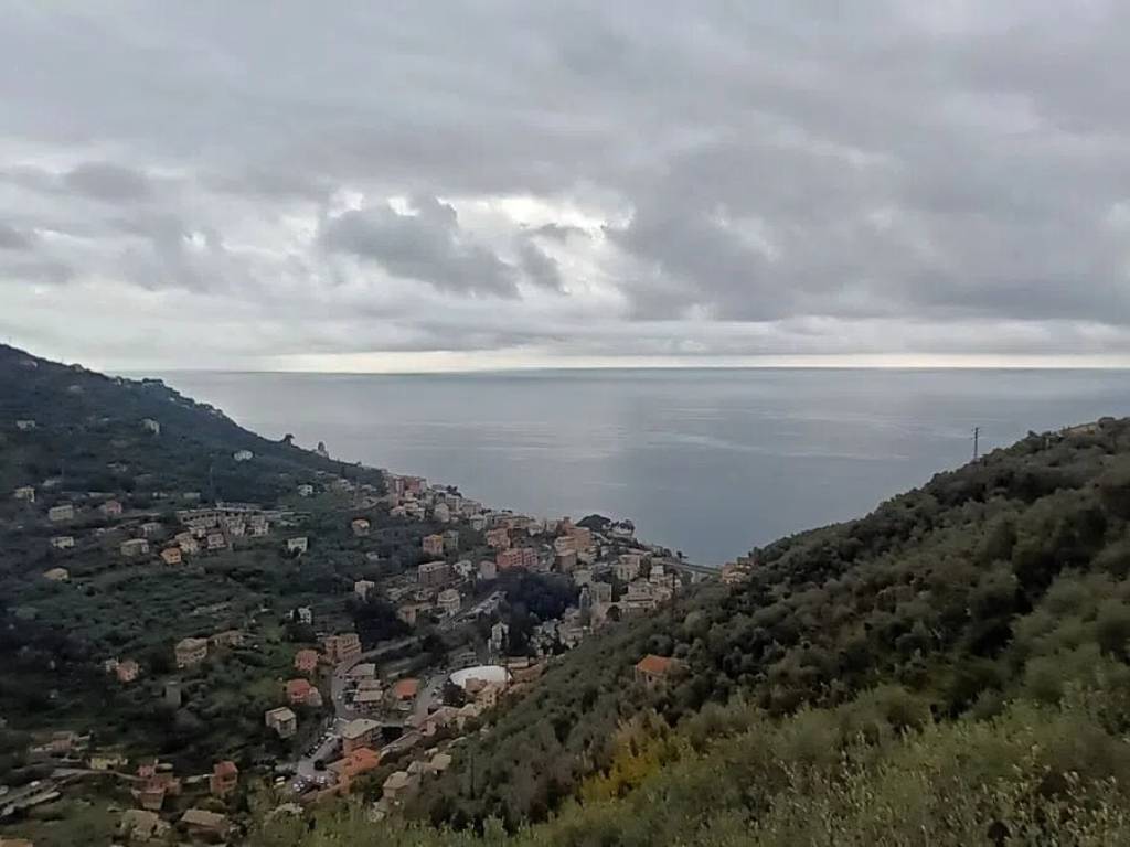 terreno agricolo in vendita a Zoagli