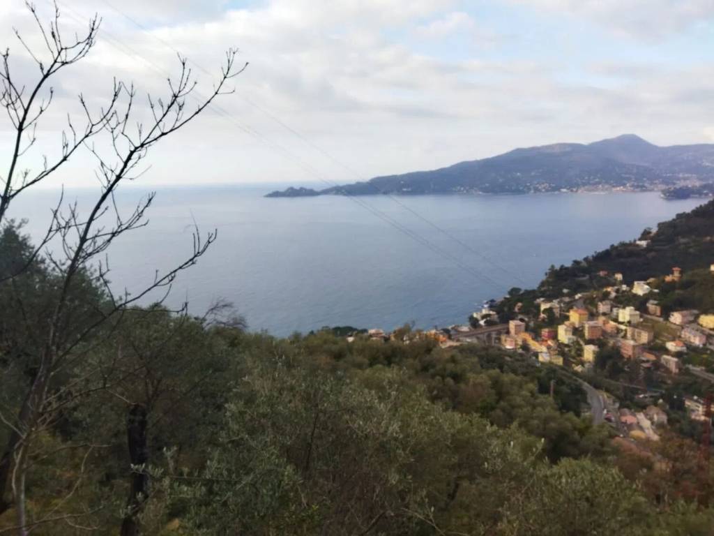 casa indipendente in vendita a Zoagli