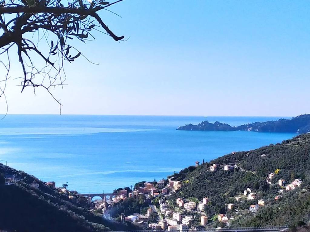 casa indipendente in vendita a Zoagli in zona Semorile