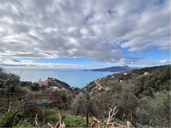 casa indipendente in vendita a Zoagli