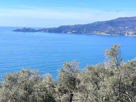 casa indipendente in vendita a Zoagli