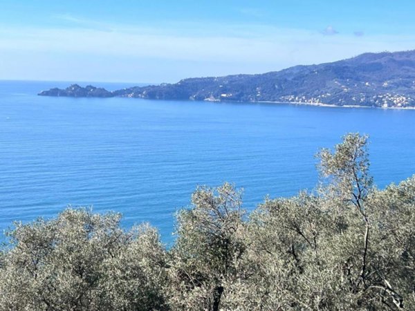 casa indipendente in vendita a Zoagli