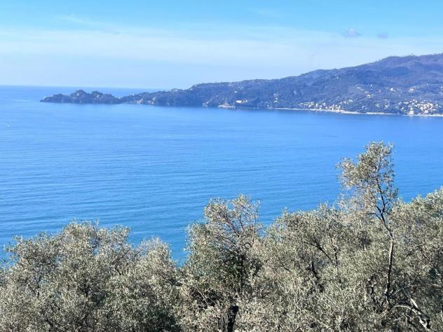 casa indipendente in vendita a Zoagli