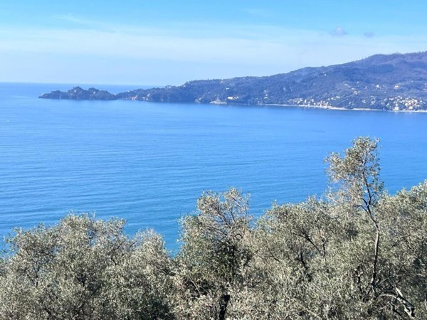 casa indipendente in vendita a Zoagli