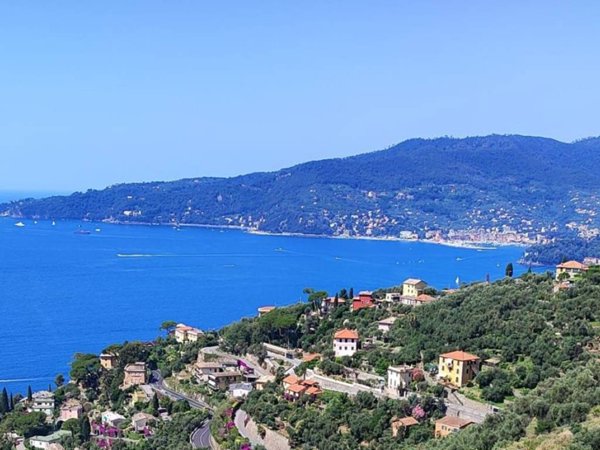 casa indipendente in vendita a Zoagli