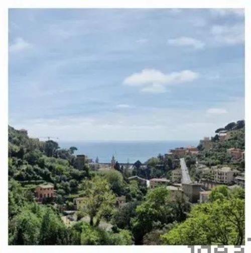 casa indipendente in vendita a Zoagli
