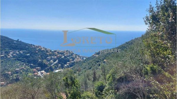casa indipendente in vendita a Zoagli in zona Sant'Ambrogio