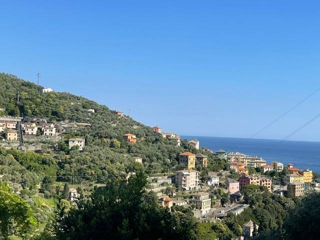 appartamento in vendita a Zoagli