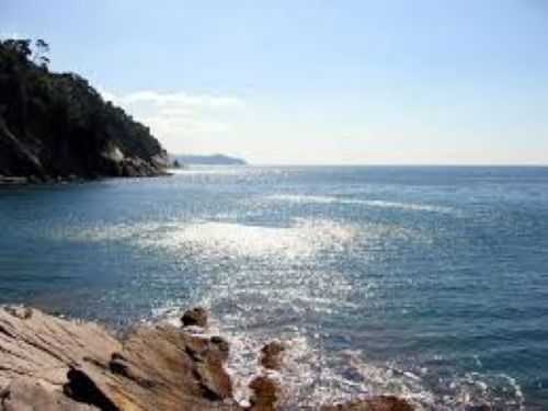 casa indipendente in vendita a Zoagli in zona Sant'Ambrogio